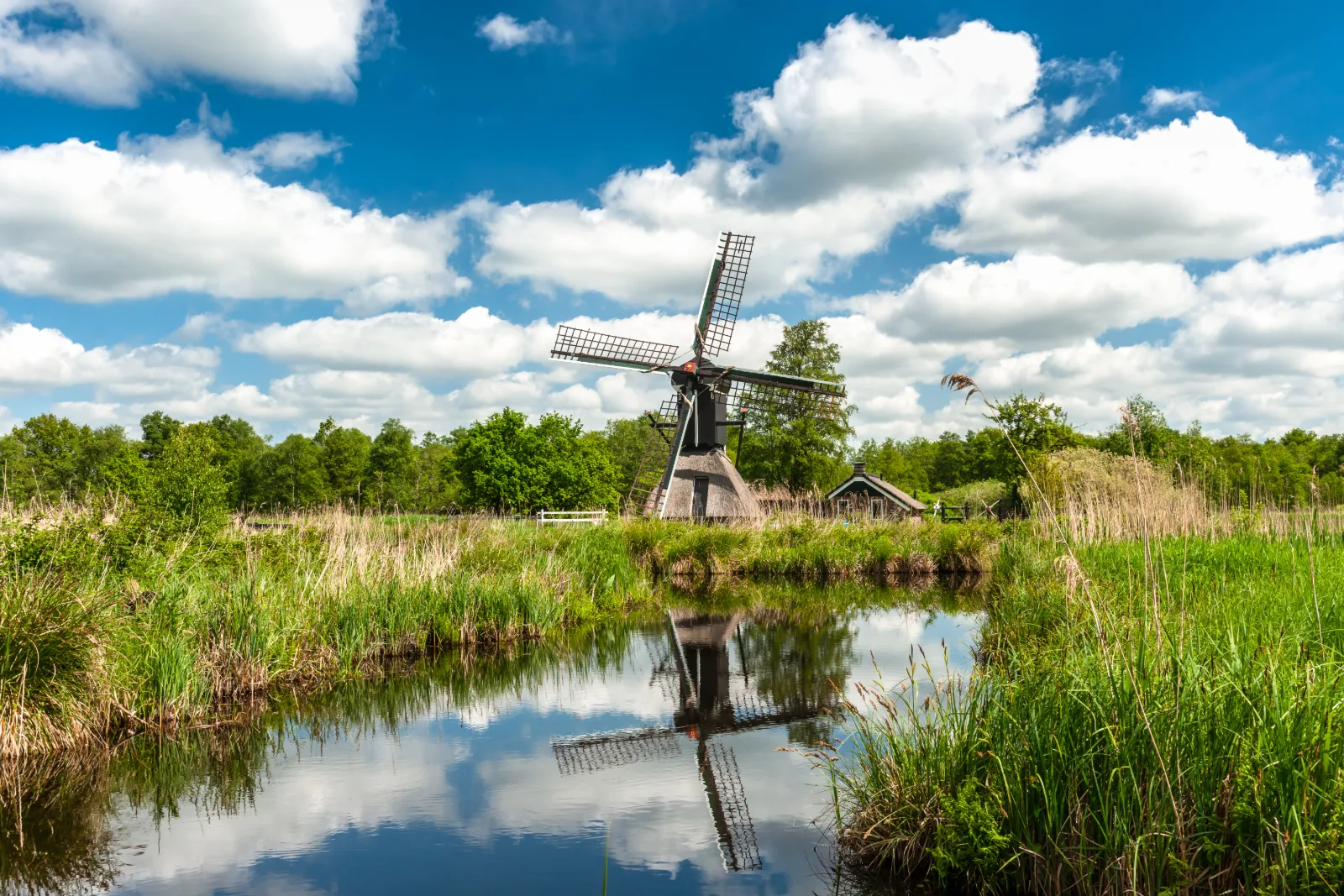 Molen in de weerribben